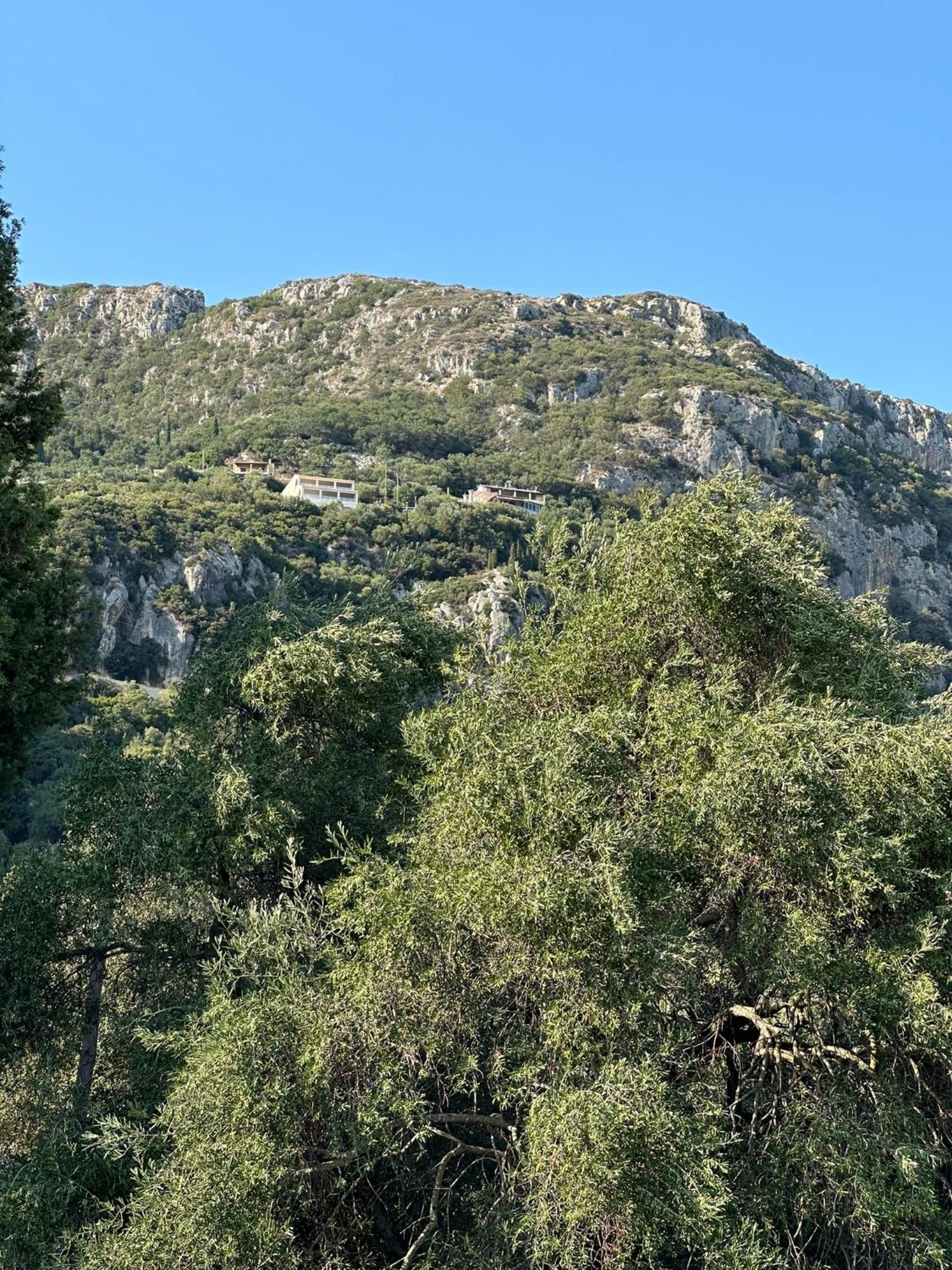 Aristos Complex -Studios For 2 Paleokastritsa Exterior foto